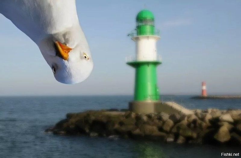 Мужчина "ворвался" в видео с тренировкой девушки