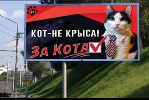 Новый преподаватель Мистер Кот