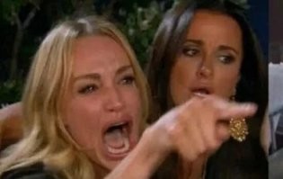 Новый преподаватель Мистер Кот