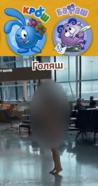 Голая американка устроила переполох в&nbsp;аэропорту