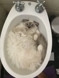 Помогите!!!!!! я в биде!!!