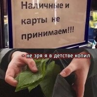 25 уморительных объявлений в магазинах