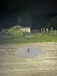 15 жутковатых изображений, которые могут напугать до мурашек