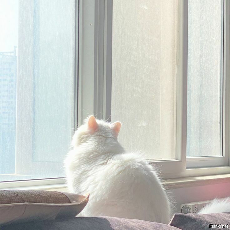 Пусть поскорее пройдут дожди и будет солнечно!