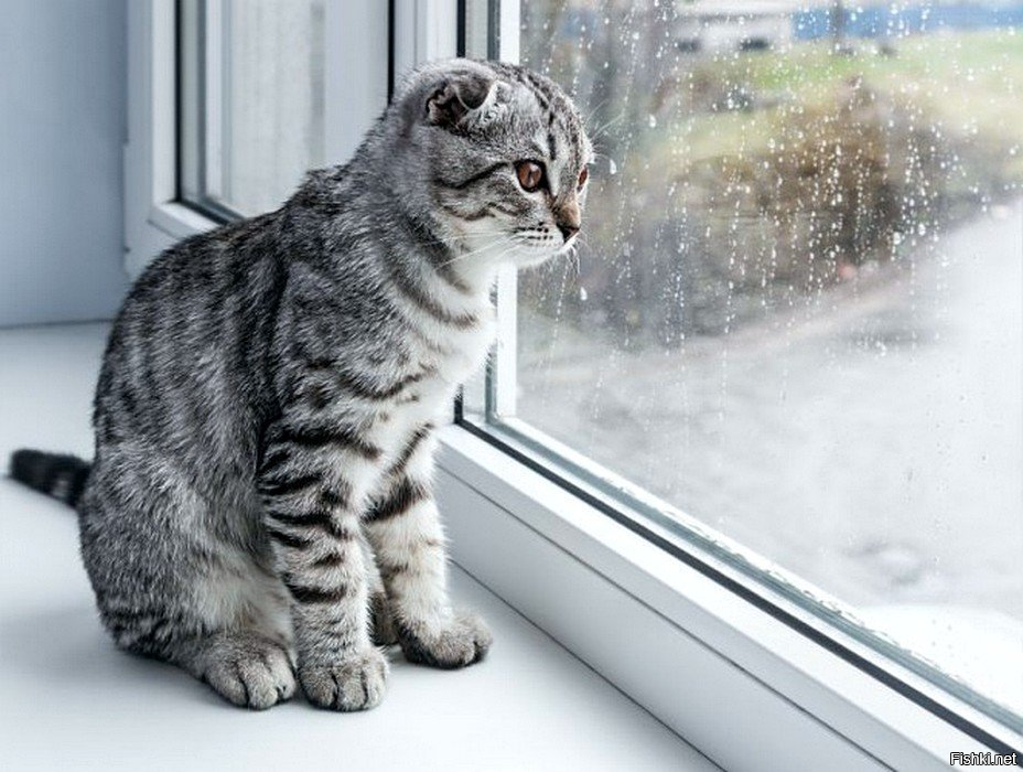 И у нас это нередкое явление