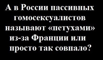 Как думаете, почему символом Франции является петух? И должна ли Россия бояться петушиного крика