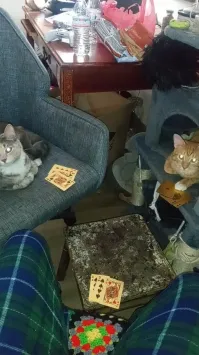 Рыжый верняк Чубайс...три туза всегда)))