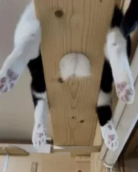 Всё вразнобой&nbsp;