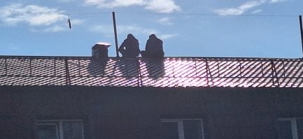 умиротворение. дзен. люди.