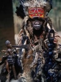 А что? нормально... И колдуны в Африке есть... был профессором зельеварения, станет колдуном вуду