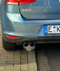 КОТ РИДДИКА )))))