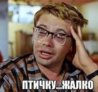 В Иране белоголовый орлан чуть не унёс маленькую девочку