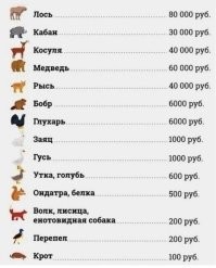 Хрен там ночевал. 
Ещё и штраф.