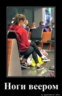 15 коварных снимков, на которых видится одно, а происходит другое