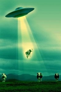 Там не конверсионный след тарелки, а луч, которым они воруют людей и коров.