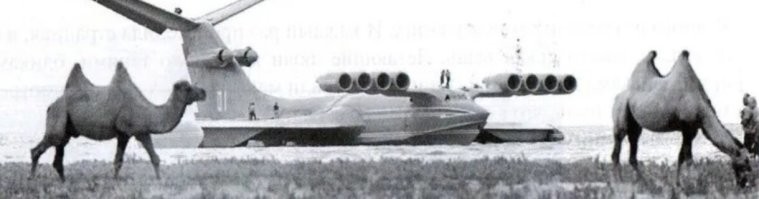 Как романтично, бактрианы и Лунь.