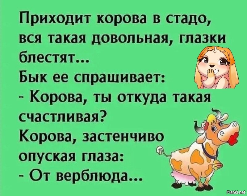 Солянка от 02.04.2025