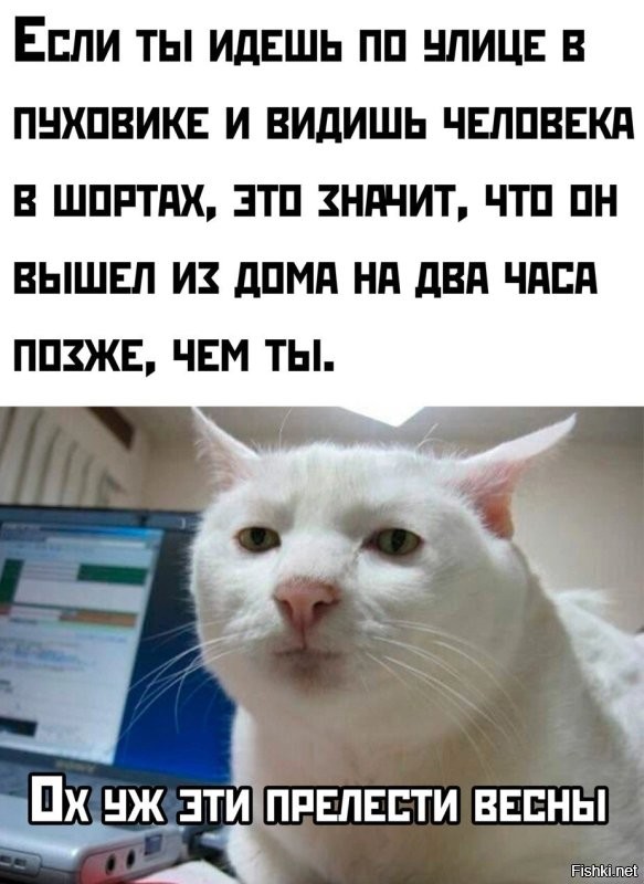 Солянка от 02.04.2025