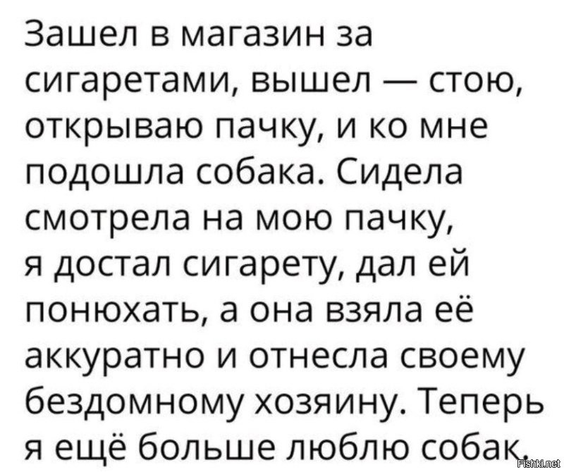 Животные всё чувствуют