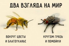 Вы больной? Где я Вам рот затыкала? В каком месте моего комментария? Явно Вы из тех женоненавистников про которых я писала. Как хорошо что подобные Вам личности, в моей жизни почти не встречаются! Удачи Вам, несчастный Вы человек!