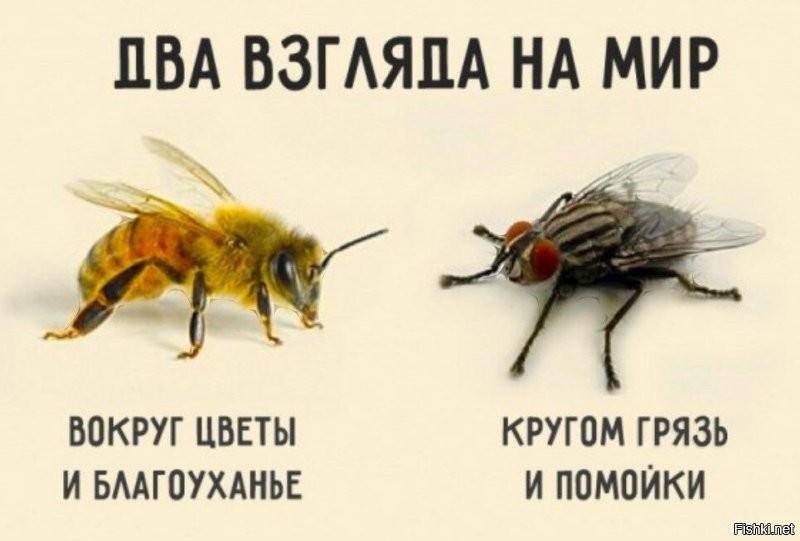 Вы больной? Где я Вам рот затыкала? В каком месте моего комментария? Явно Вы из тех женоненавистников про которых я писала. Как хорошо что подобные Вам личности, в моей жизни почти не встречаются! Удачи Вам, несчастный Вы человек!