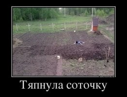 Демотиваторов порция: «Когда достиг совершенства»