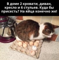 Демотиваторов порция: «Когда достиг совершенства»
