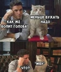 Какая слабонервная.
Мой каждую пятницу со мной разговаривает, и ничего