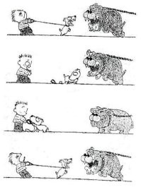 Реакция собак на отпущенный поводок