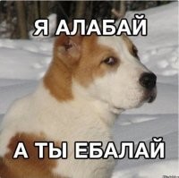 "Кикимор я не признаю..."(С)