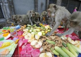 Что происходит с подаренной Якубовичу едой на шоу «Поле чудес»