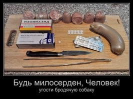 Чую закидает меня тапками зоошиза