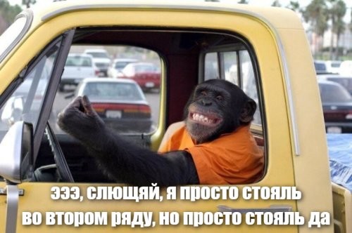 Вину не признал, говорил, что стоял