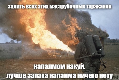 "Они повсюду, как тараканы": во время рейда в Мытищах силовики накрыли подпольную молельню в гараже