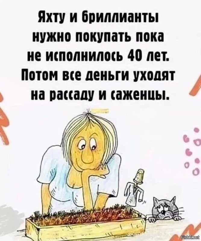 Солянка от 29.03.2025