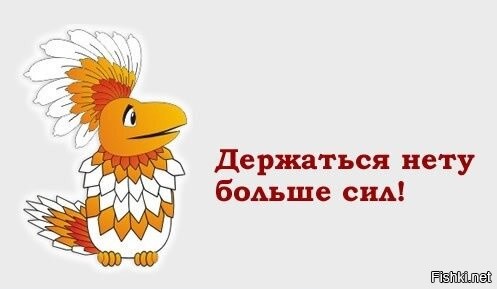Уборщик подмешивал фекалии и отбеливатель в еду школьников