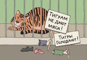 В Египте тигр отгрыз руку работнику цирка во время представления