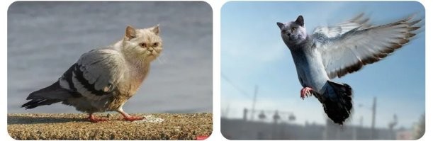 Через некоторое время: