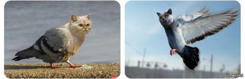Через некоторое время: