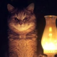 В Испании  одним из самых прибыльных бизнесов для крепких мужчин стало выселение нелегальных жильцов