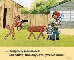 Самостоятельный пёс показал, как он моется после прогулки