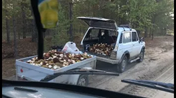 Вы что, вчера на свет народились??