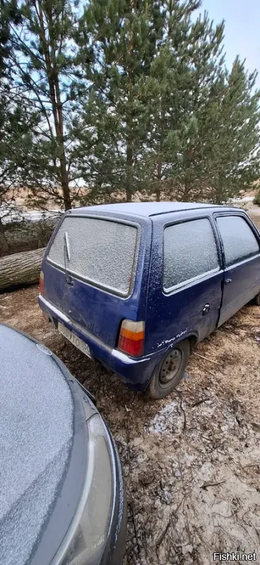 Вот самая дешевая, 55 рублей!! 97 год....Сын сгонял, посмотрел....Сказал в живую полный АД! Дверь закрываешь, днище осыпается!
