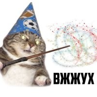 Фокусы его не интересуют