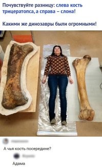 "Женщина - из ребра?" Как одна ошибка переводчика могла ввести в заблуждение множество людей