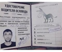 На гужевой транспорт.