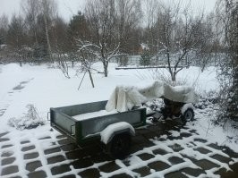 Сегодня.