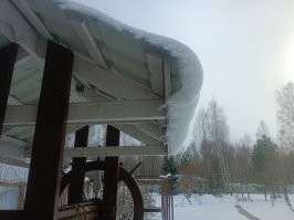 Сегодня.