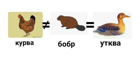 Группа людей решила покормить уток в парке, но всё пошло не по плану