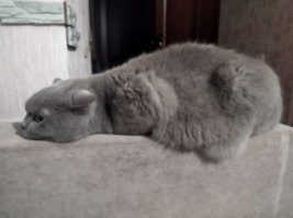 у Коти - 12й, у меня 7й ..
с ужасом думаю о расставании 
с последней девушкой, которая меня любит ..
болячек как бы нет, но всё чаще садясь ложится ..